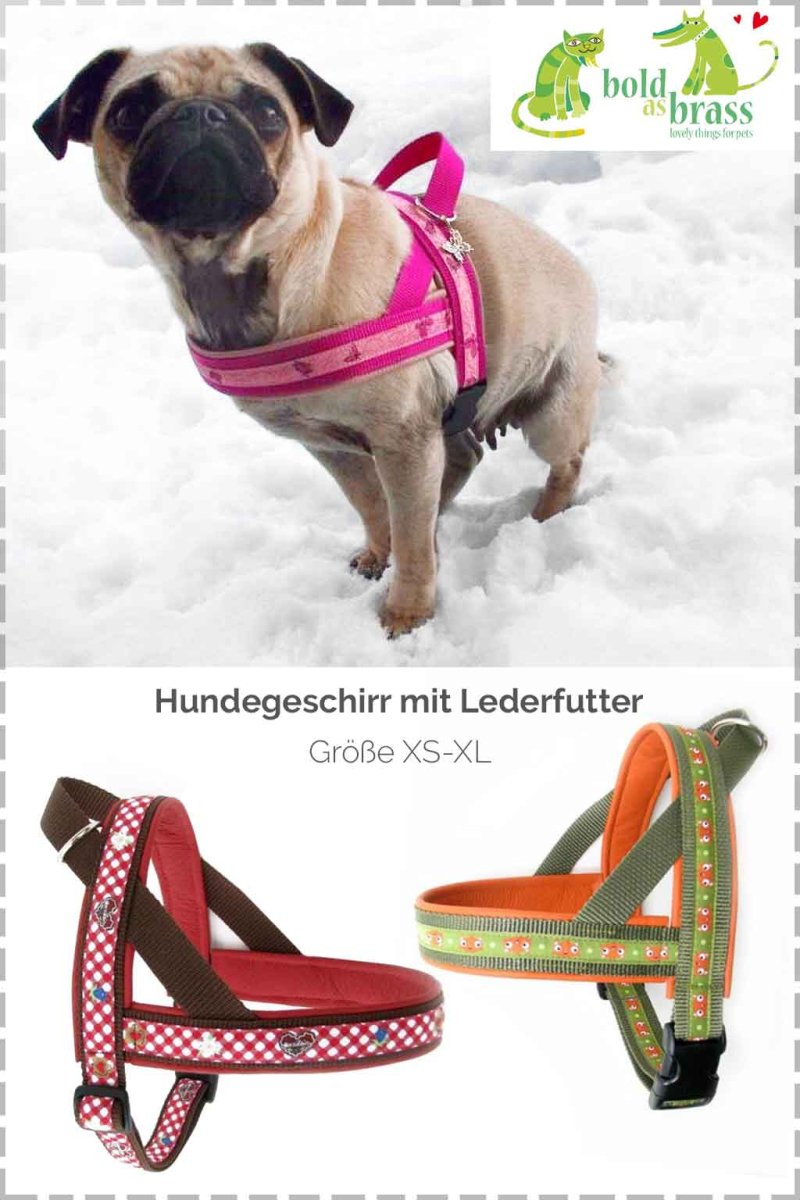 Hundegeschirr nähen, Kreativ-Ebook